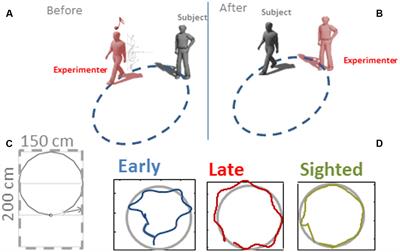 Shape Perception and Navigation in Blind Adults